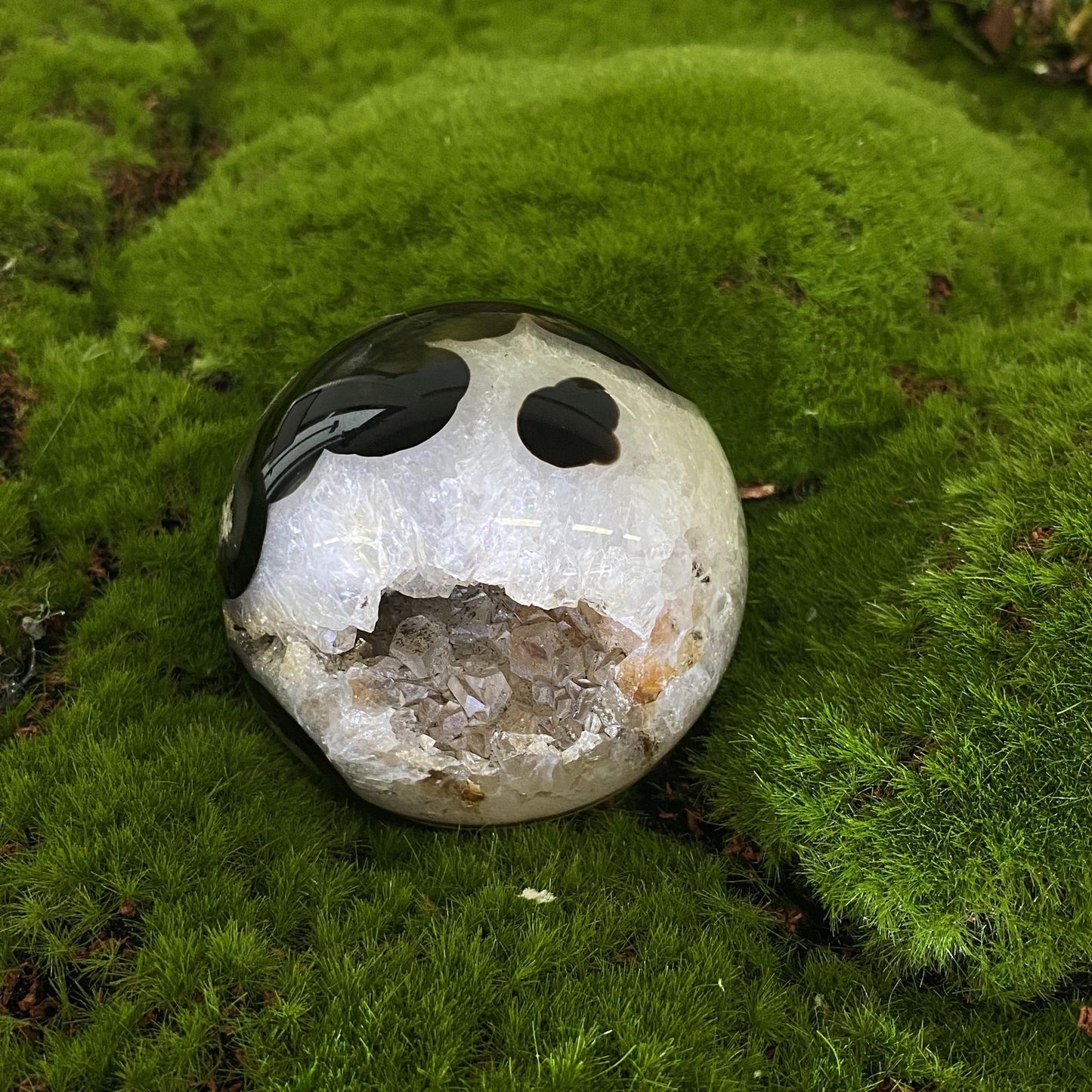 Black cherry blossom crystal ball